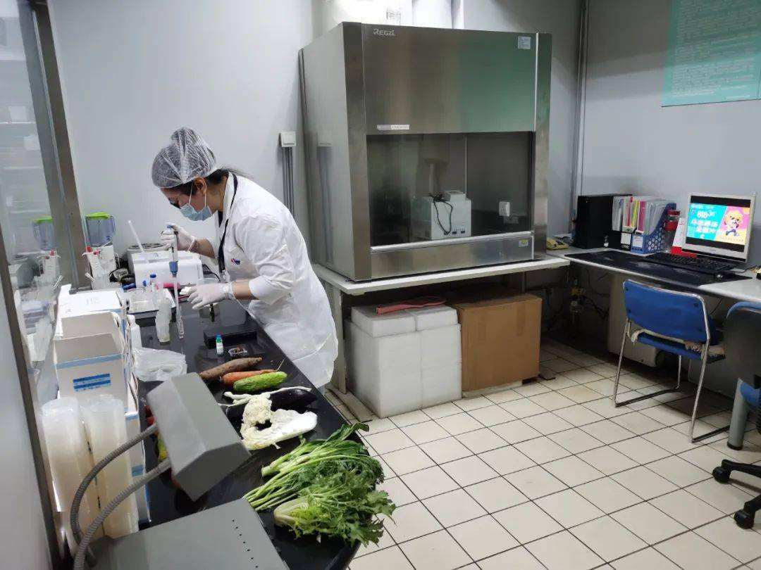 十堰食品检测实验室装修方案